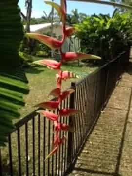 Buy Fencing Business Queensland with Fabrication Workshop and Growth Potential