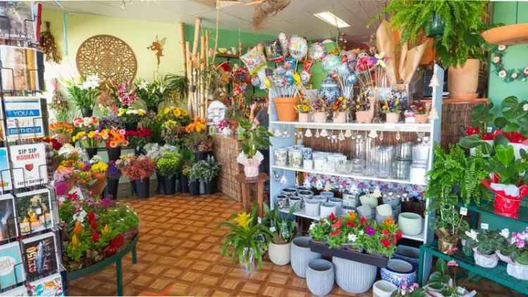 Buy Long Established Florist Business in Mid North Coast NSW With Growth Potential