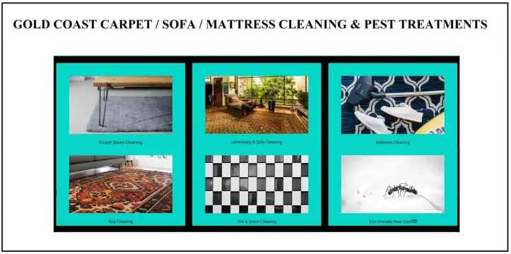 Carpet Sofa Cleaning Business for Sale No Experience Needed