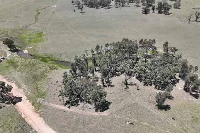 Rural property For Sale , Tenterfield, New South Wales