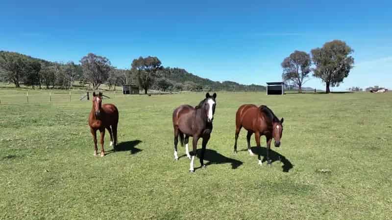 Rural property For Rent , Tamworth Regional Council, New South Wales