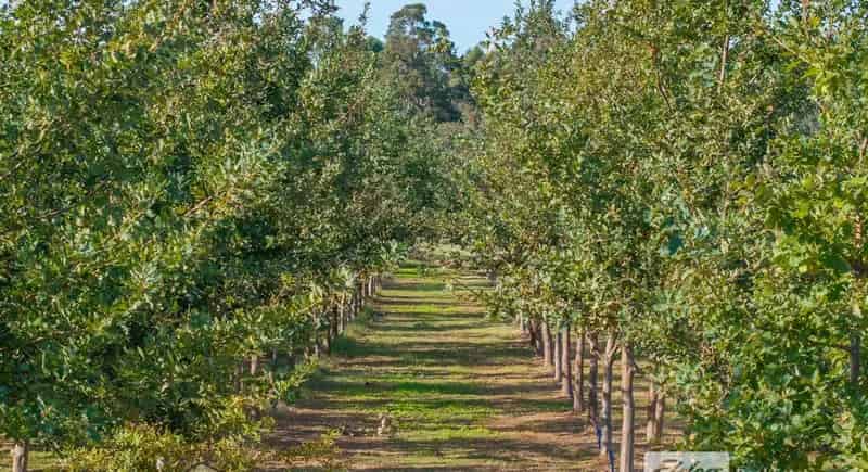 Rural property For Sale , Yabberup, Western Australia