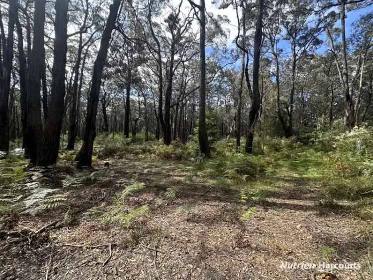 Rural For Sale in Snowy Monaro Regional Council, New South Wales