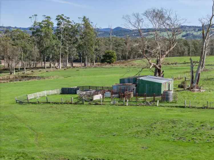 45-Acre Rural Property in Exeter Tasmania