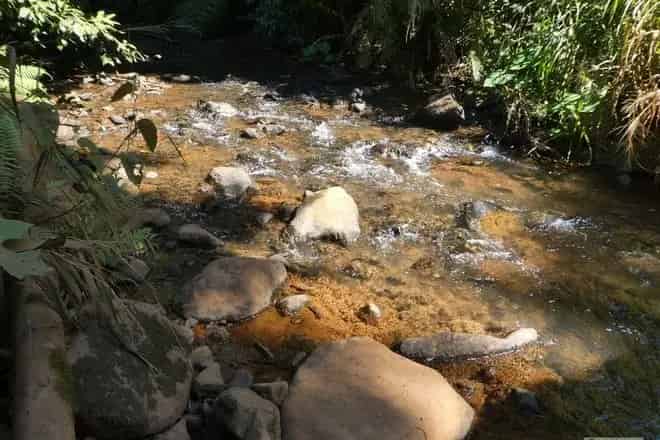Rural property For Sale , Cassowary Coast Regional, Queensland