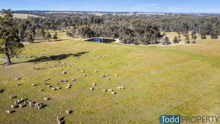 Rural For Sale in City of Swan, Western Australia