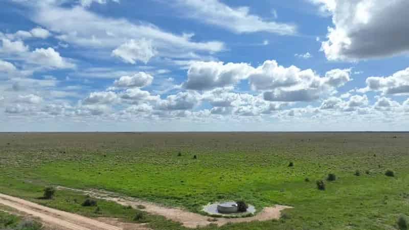 For Sale Breeding Property Near Carrathool with Water Supply and Cottage