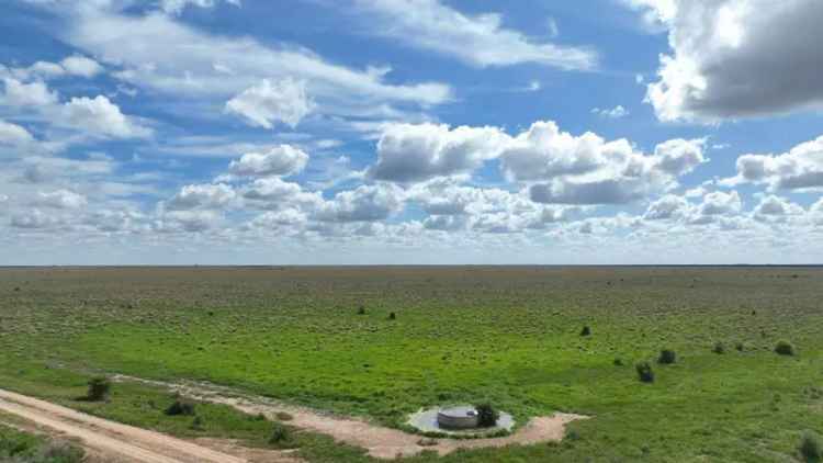 Rural For Rent in New South Wales