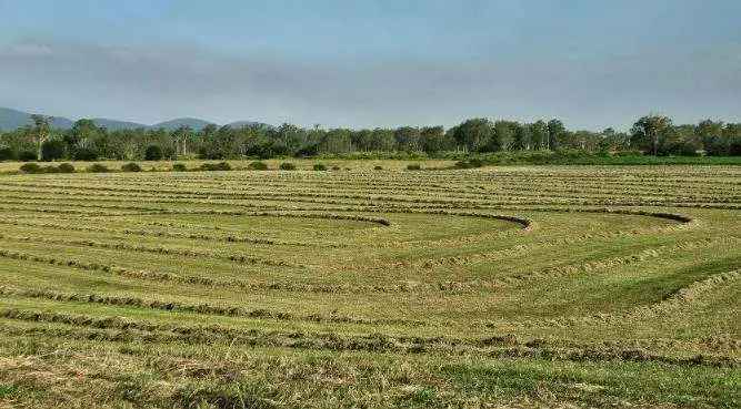 Rural For Sale in Somerset Regional, Queensland