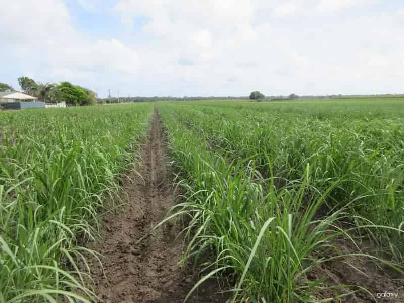Rural property For Sale , Bundaberg, Queensland