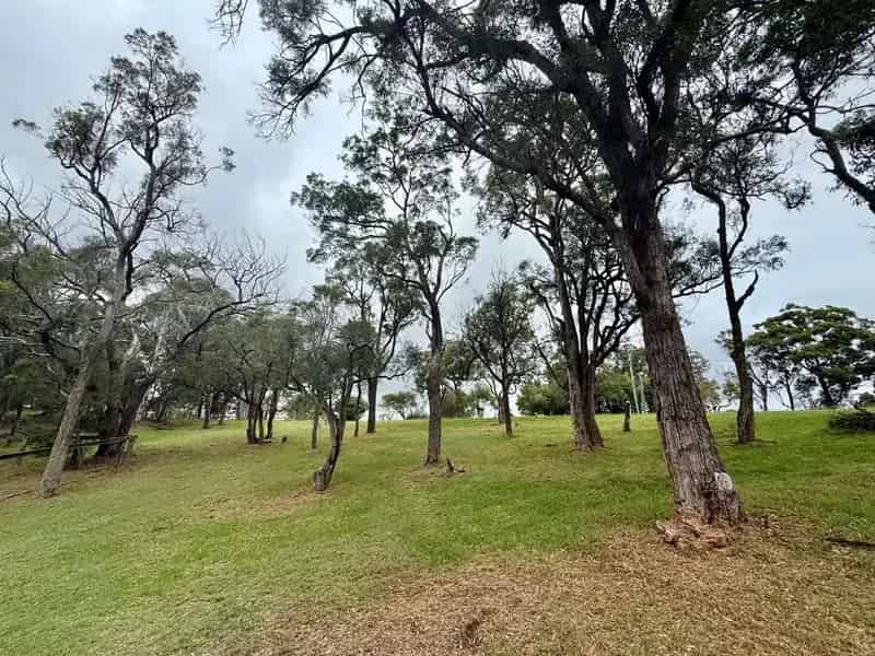 House For Rent , Sydney, New South Wales