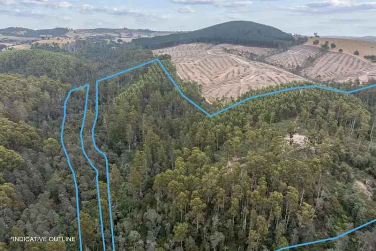 Forestry Property 19.63Ha 48.5acres Lifestyle Investment near Scottsdale Launceston