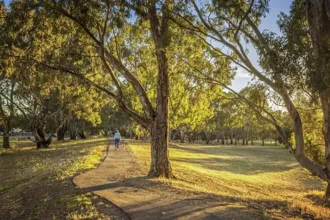 Land For Sale , Nuriootpa, South Australia