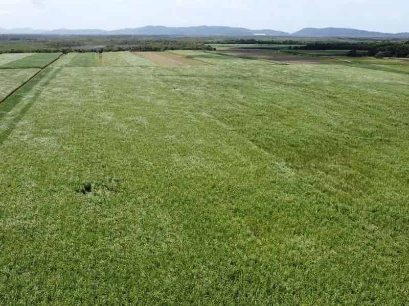Land For Sale , Cassowary Coast Regional, Queensland