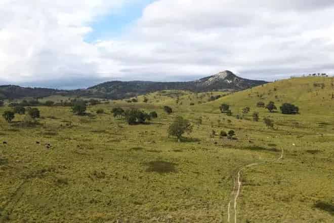 Rural property For Sale , Tenterfield, New South Wales