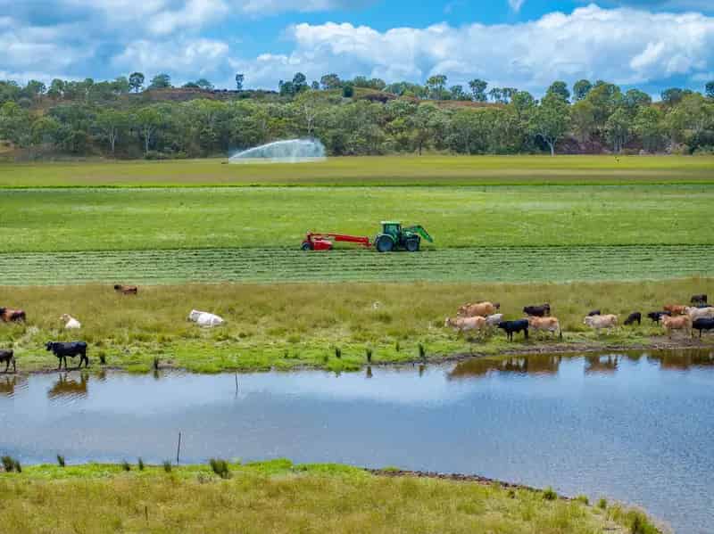 Feed & Fodder Powerhouse with Abundant Water