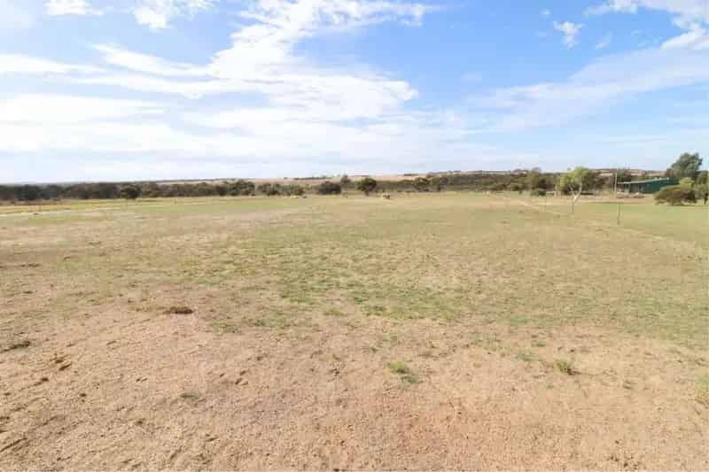 Rural property For Sale , Wongan Hills, Western Australia