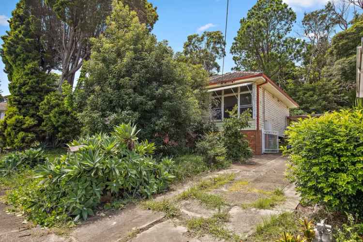 Adamstown Heights Renovation Project Family Home Near Schools and Beaches