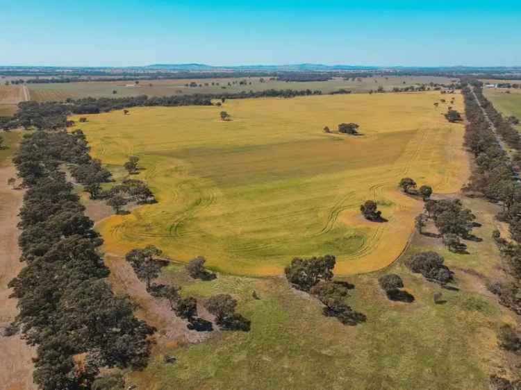 Rural For Sale in Shire of Buloke, Victoria