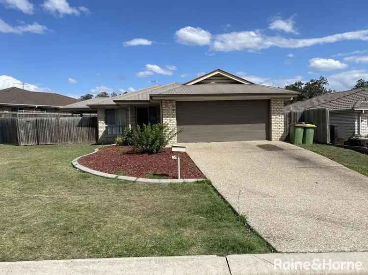 Rent 4 Bedroom Family Home Bellbird Park Modern Spacious