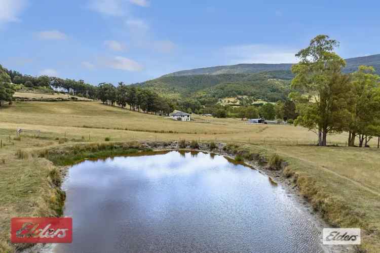 Real Estate For Sale - 57 Misty Hill Road - Mountain River , TAS