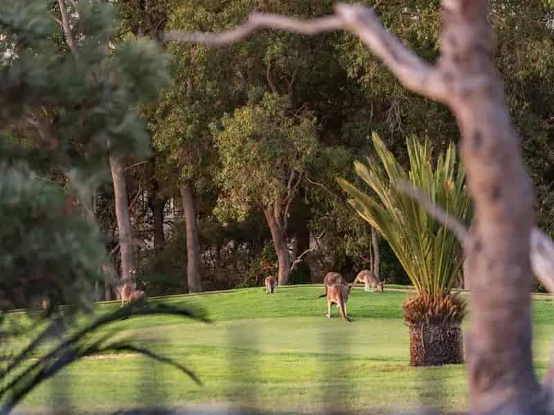 House For Sale , City of Swan, Western Australia