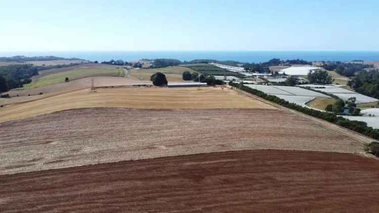 102 Hectares Fertile Farmland with Cottage and Barn