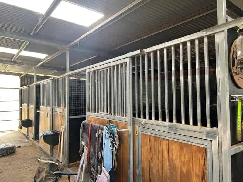 Impressive Equine Property with 12 Meg water right