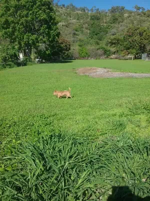 Buy Flood Free Land in Townsville with Great Accessibility