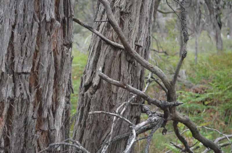 Rural property For Sale , South Australia