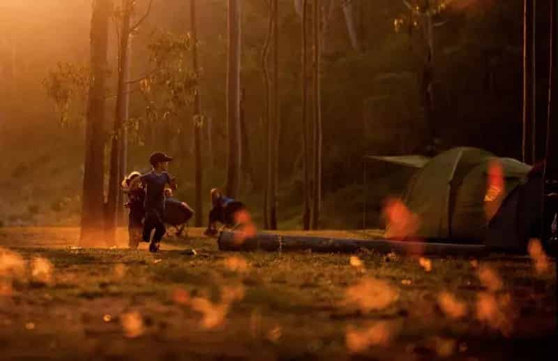Buy Caravan Park in Murphys Creek with Adventure Activities and Campsites
