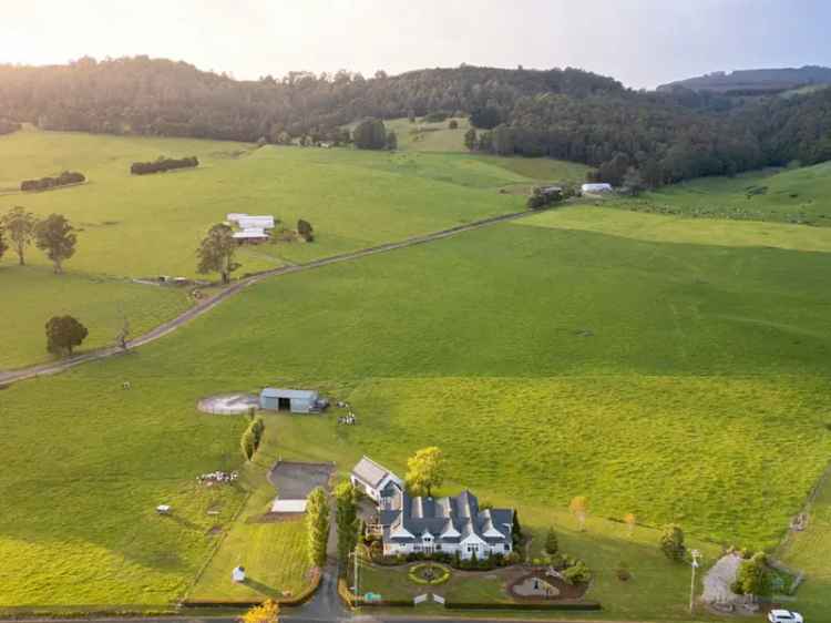 Charming Homestead on 6 Acres