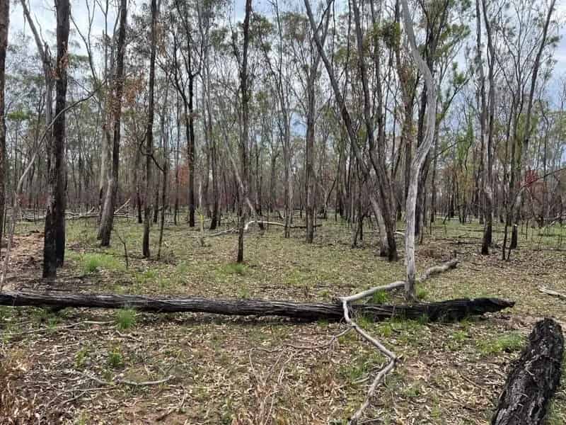 Buy rural property in quality 37 acres with power access and privacy