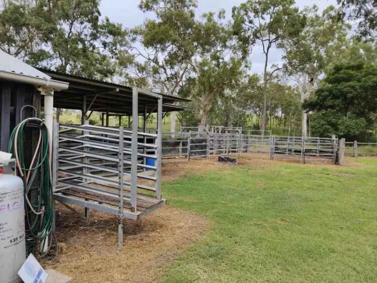 THRIVING BUTCHER SHOP  SMOKEHOUSE  FREEHOLD PROCESSING PLANT