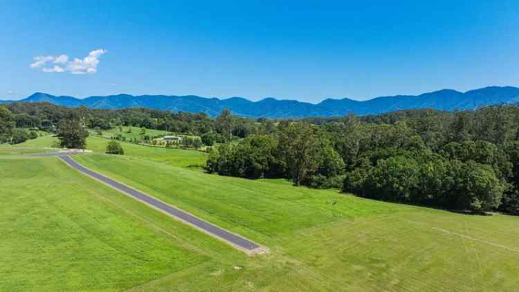 Land for sale in Bellingen with mountain views and creek frontage