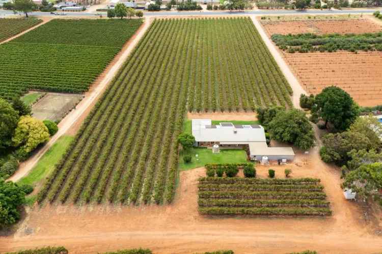 Buy lifestyle property with vineyard views in Barmera