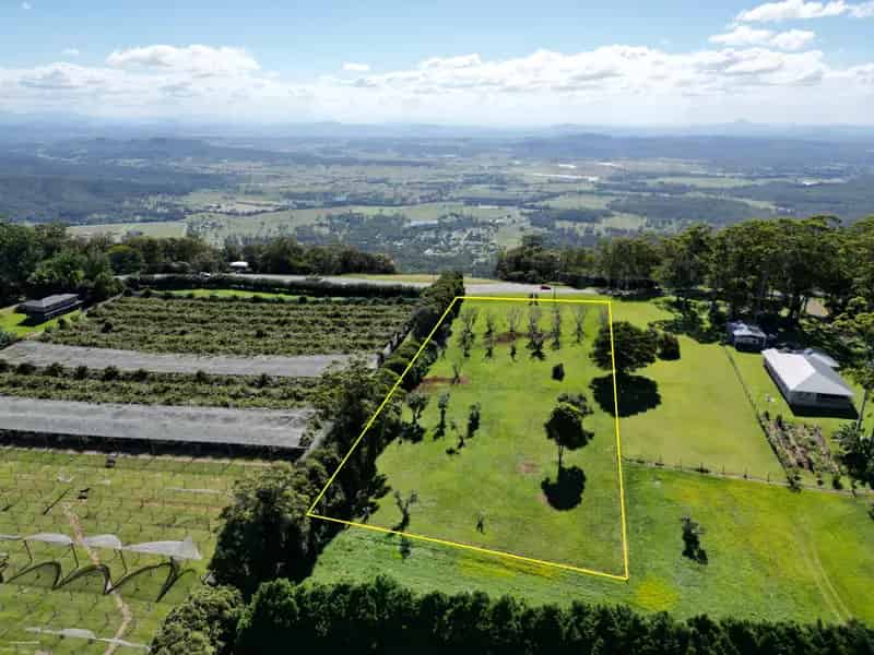 Buy Land in Tamborine Mountain with Stunning Sunset Views