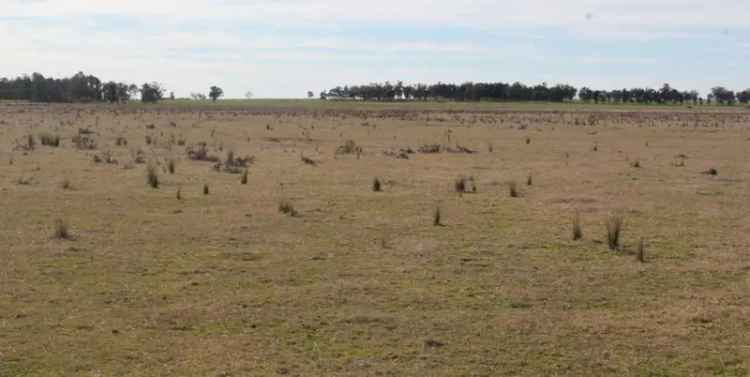 Rural For Sale in Parkes, New South Wales