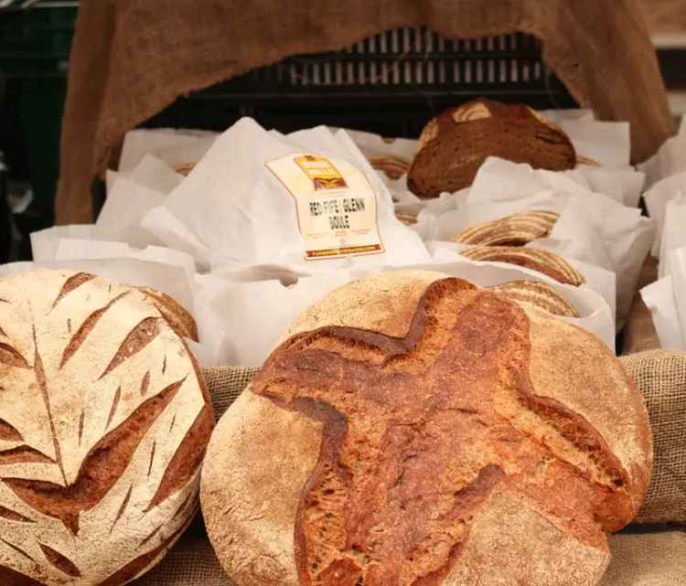 Bakery with Unlimited Potential in the Beachside Town of Byron Bay