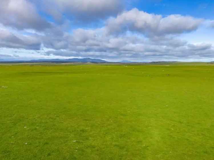 Rural For Sale in Dorset, Tasmania