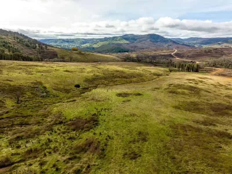 Agri, Forestry & Recreation at Bellevue