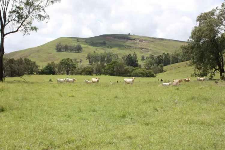 2424 Hectares Freehold Grazing Property Abundant Water High Carrying Capacity