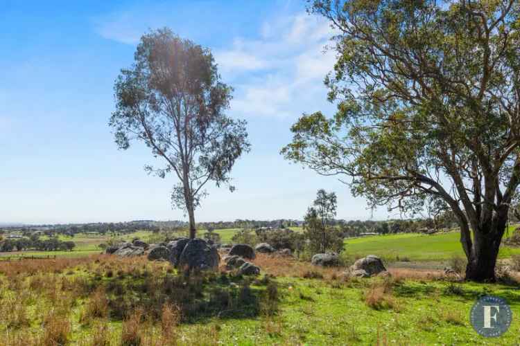 Land For Rent in Young, New South Wales