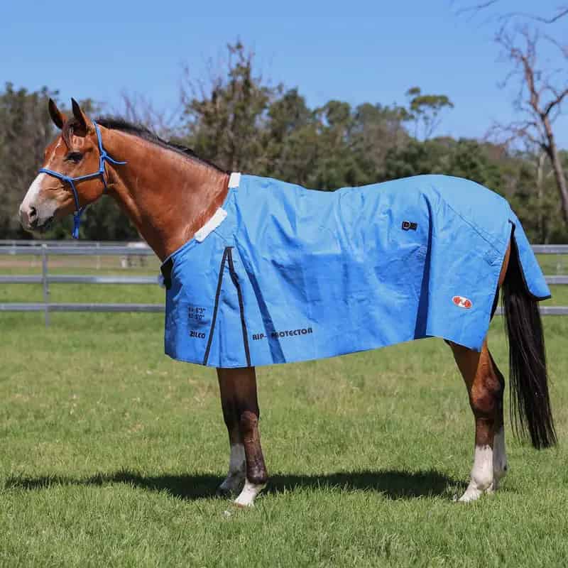 Buy Equestrian Supplies and Saddlery in Peats Ridge NSW