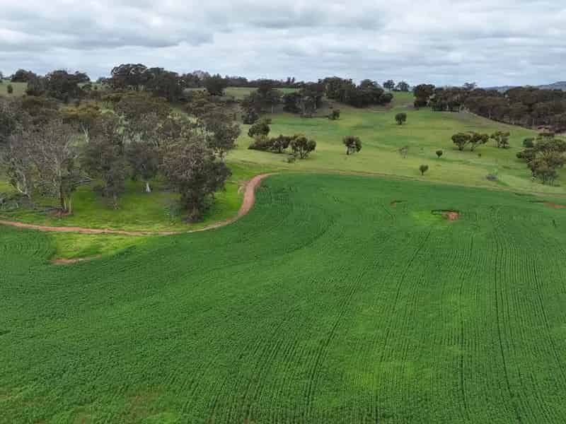 Land For Sale , Shire Of Toodyay, Western Australia
