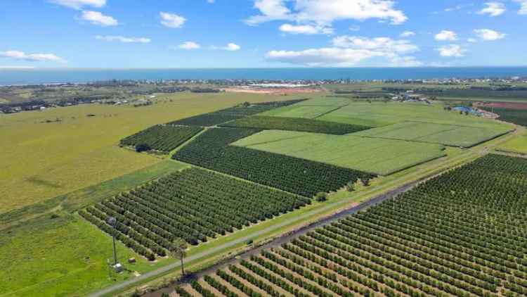 Large Land Parcel near Burnett Heads Beaches - Development Opportunity