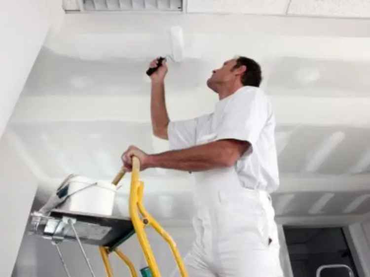 Buy Established Painting Business in Sydney with Strong Client Base