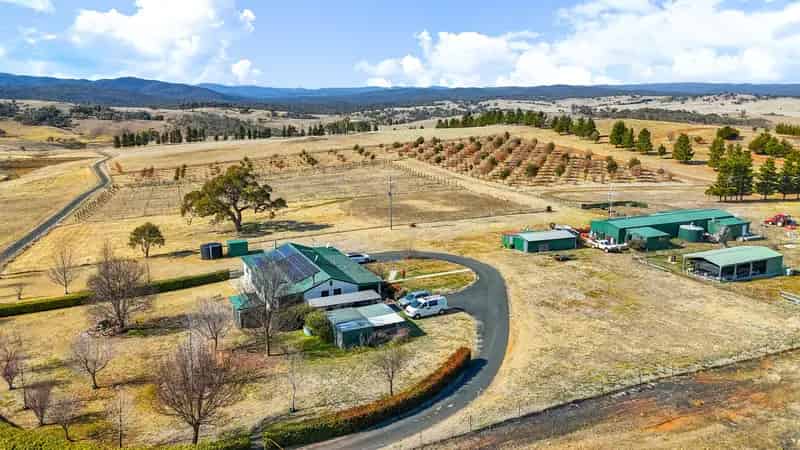 A new lifestyle awaits at Macenmist Black Truffle Farm