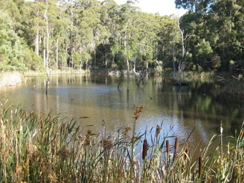 Rural property For Sale , Waratah-Wynyard, Tasmania