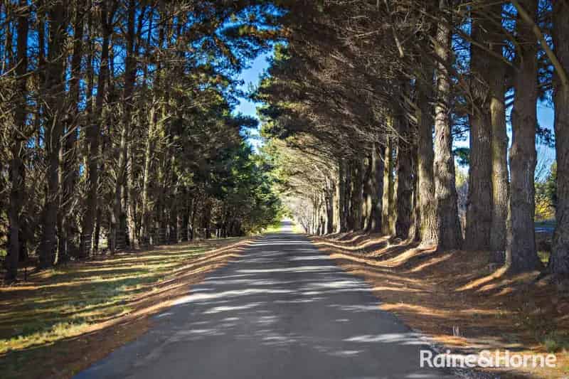 House For Rent , Wingecarribee Shire Council, New South Wales